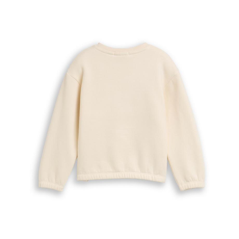 TOM TAILOR  Sweat-shirt 