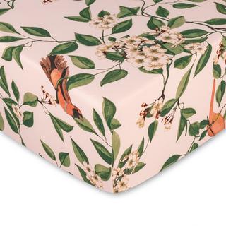 Manor Bidosa Lenzuolo Jersey Stampa Floreale e Uccelli  