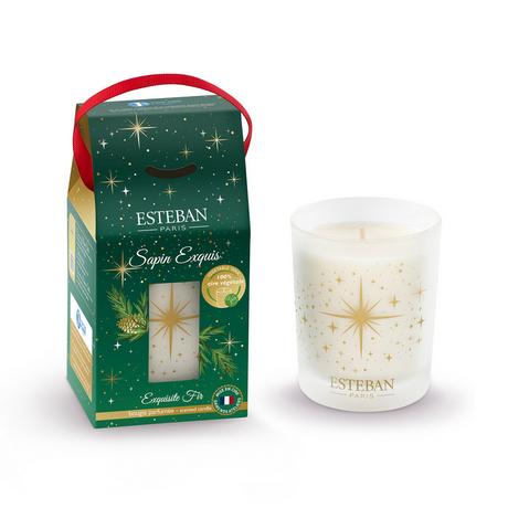 ESTEBAN Bougie parfumée sapin exquis 