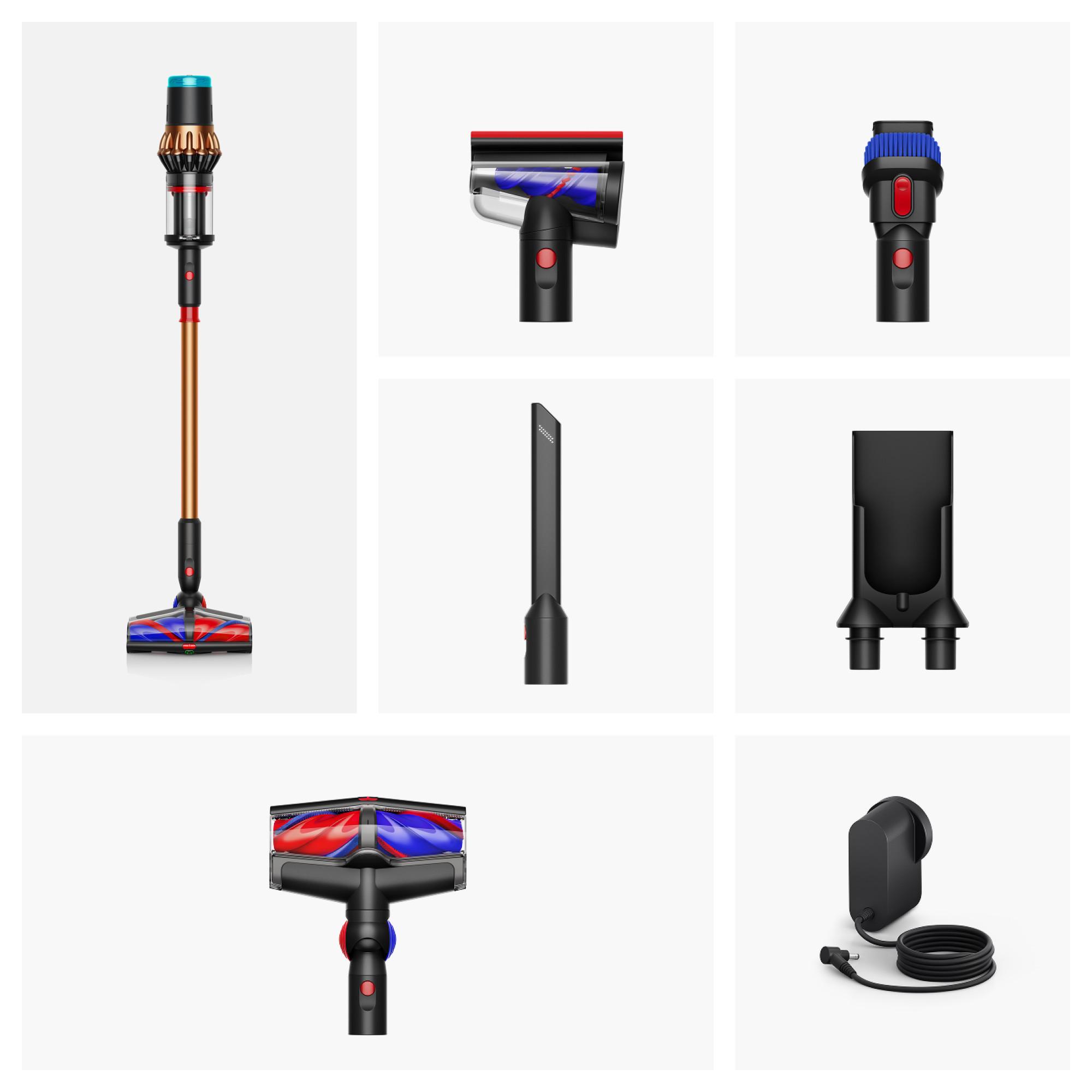 dyson Cyclone-Staubsauger DS60 Piston Animal 