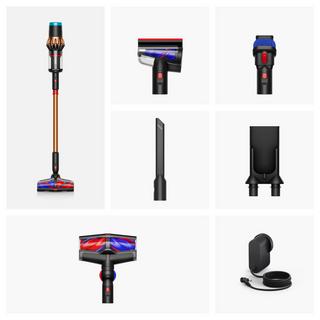 dyson Cyclone-Staubsauger DS60 Piston Animal 