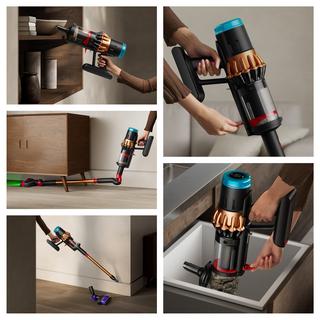 dyson Cyclone-Staubsauger DS60 Piston Animal 