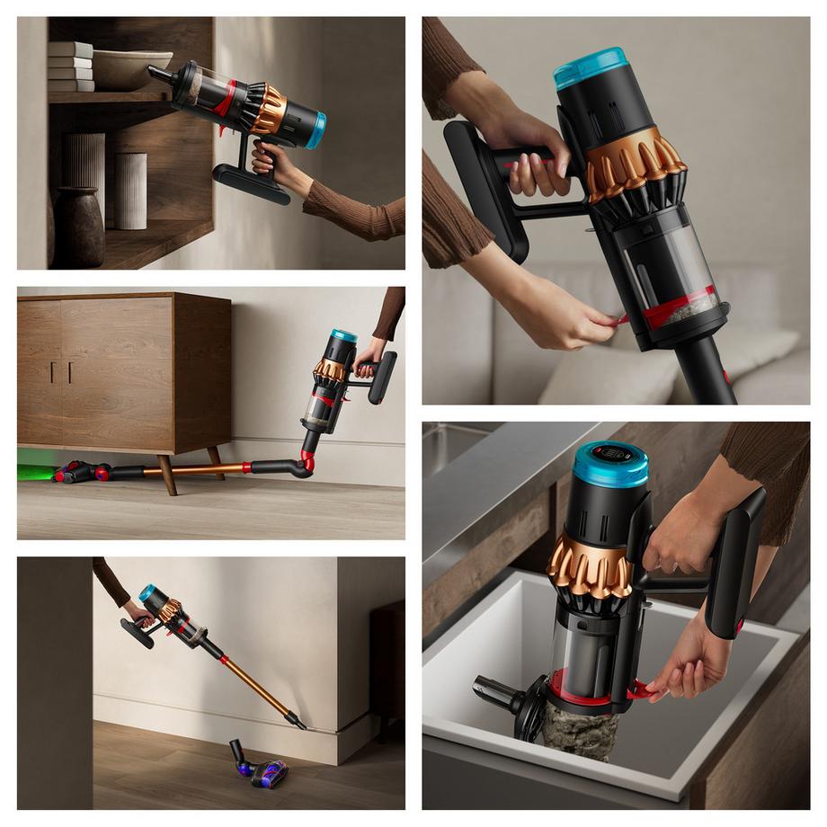 dyson Cyclone-Staubsauger DS60 Piston Animal 