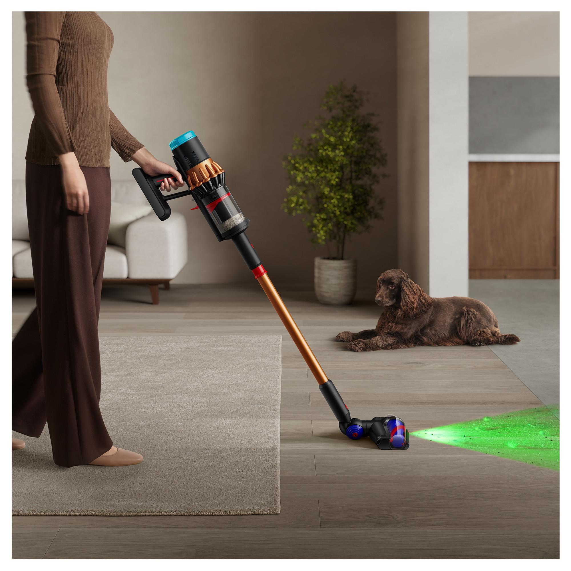 dyson Cyclone-Staubsauger DS60 Piston Animal 