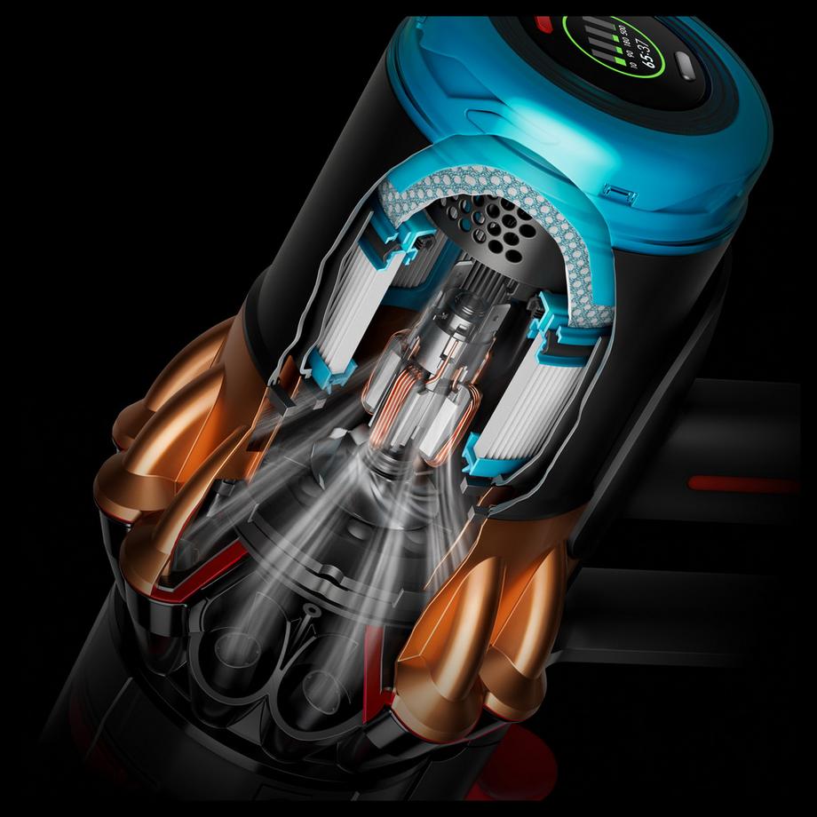 dyson Cyclone-Staubsauger DS60 Piston Animal 