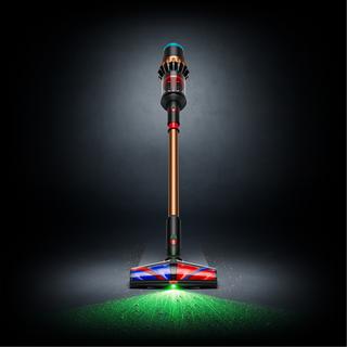 dyson Cyclone-Staubsauger DS60 Piston Animal 