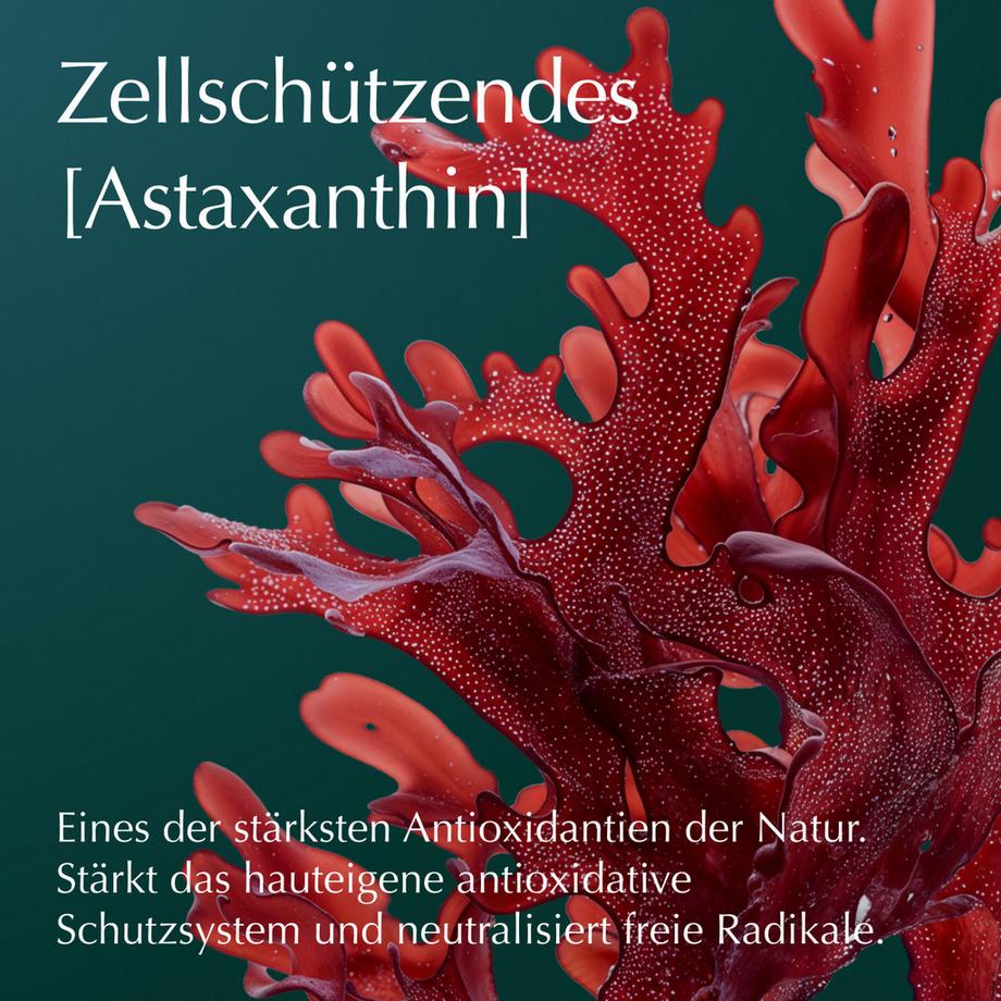 Weleda Cell Longevity  Ultra Protect & Lift Crème Jour Intensive   