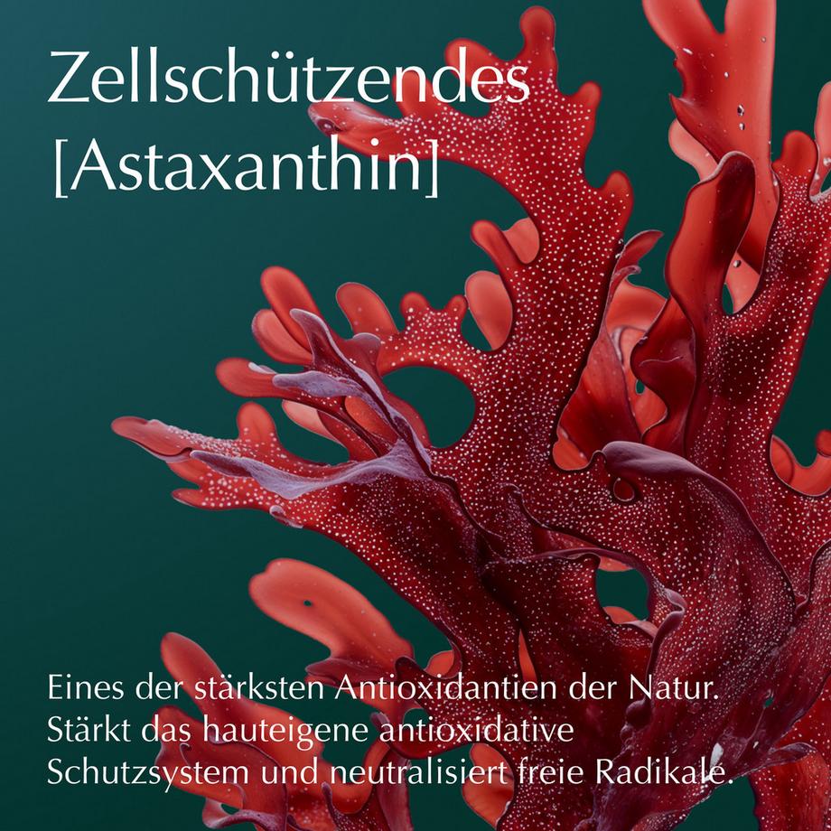 Weleda Cell Longevity  Ultra Protect & Lift Absolute Night Recovery Cream 