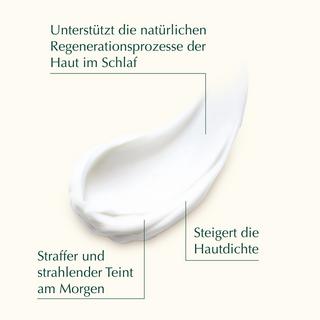 Weleda Cell Longivity  Super Anti-Aging Youth Boosting Night Cream  