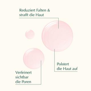 Weleda Cell Longivity  Super Anti-Aging Overnight Repair Serum  