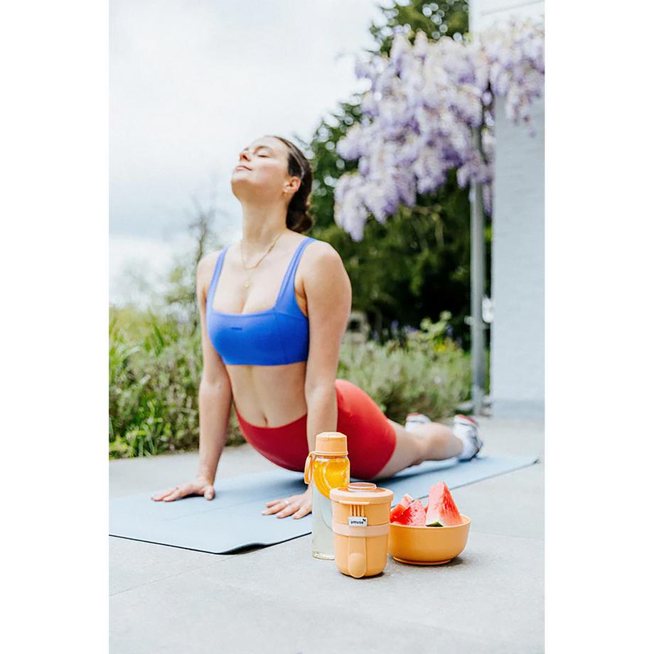 amuse Boîte repas Tylla 