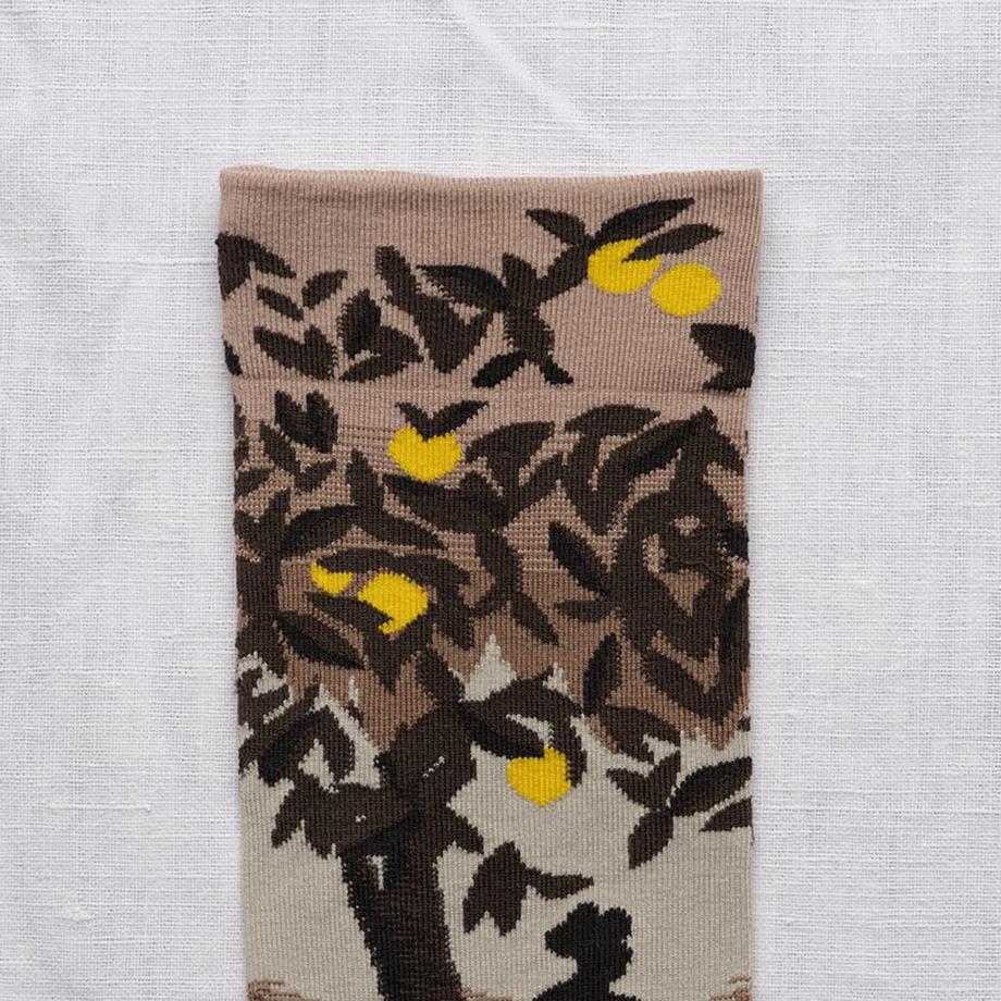 Bonne Maison Landscape Chaussettes Hauteur Mollet  