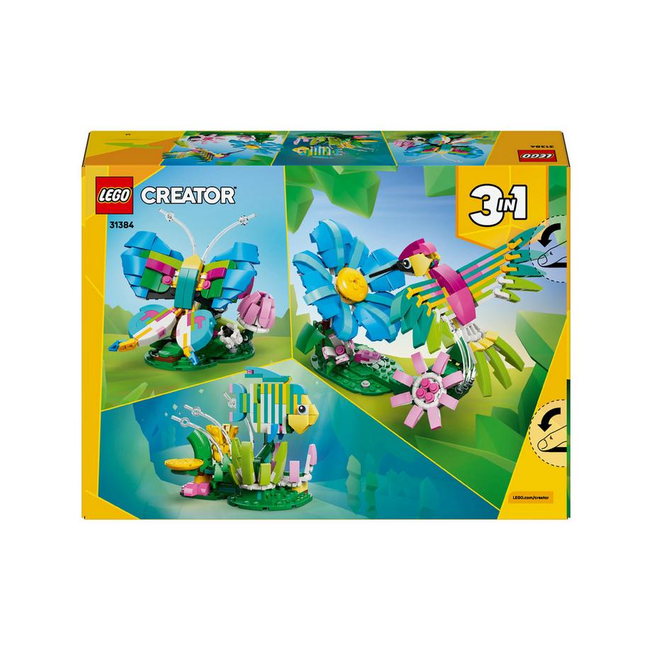 LEGO®  31384 Animali selvatici: colibrì variopinto 