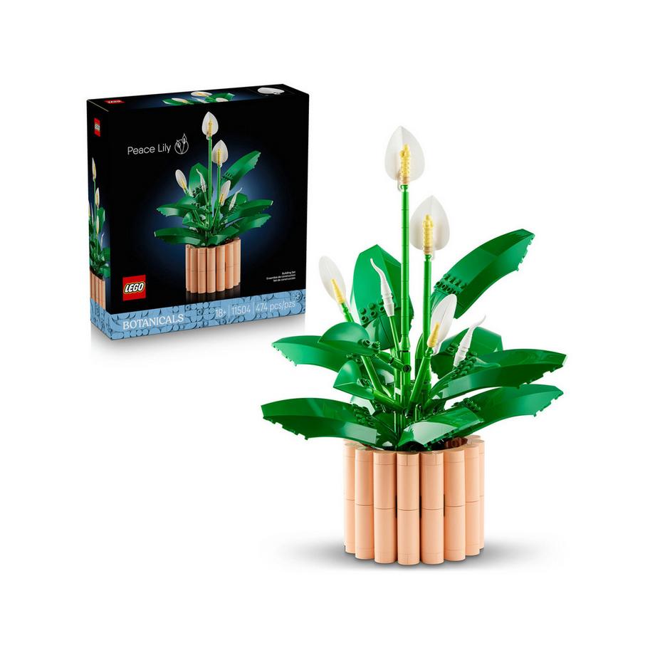 LEGO®  11504 Spatifillo 