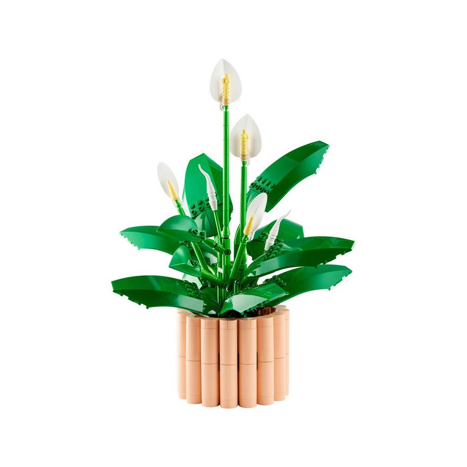 LEGO®  11504 Spatifillo 