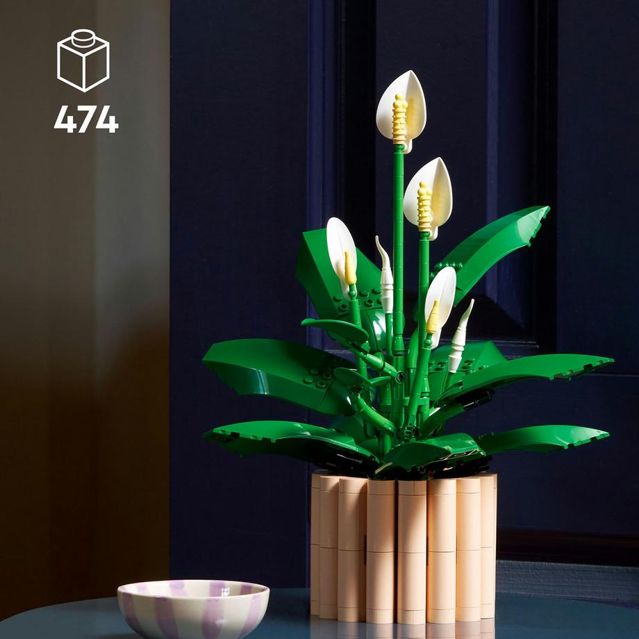 LEGO®  11504 Spatifillo 