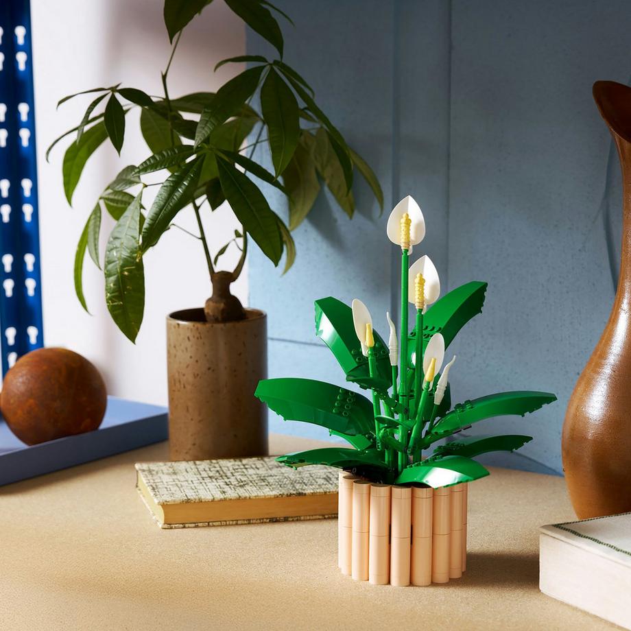 LEGO®  11504 Spatifillo 