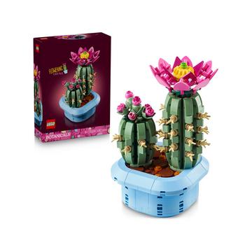 11509 Cactus fleuri