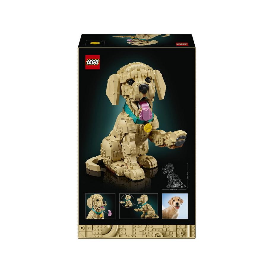 LEGO®  11384 Golden Retriever Welpe 
