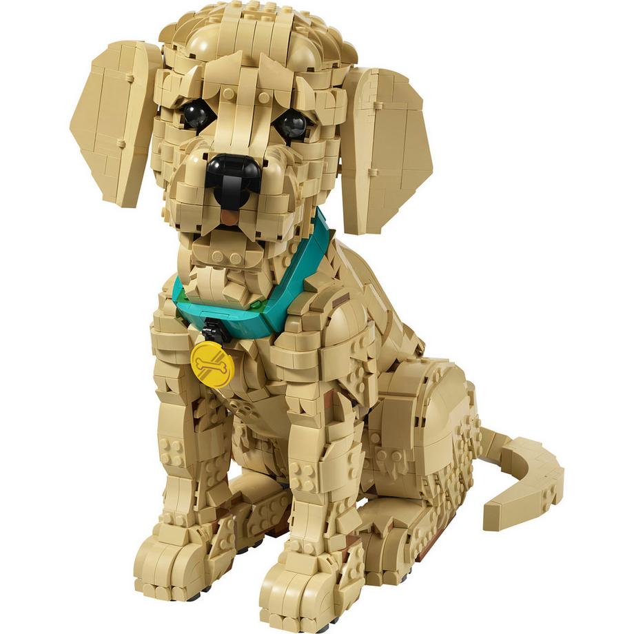 LEGO®  11384 Golden Retriever Welpe 