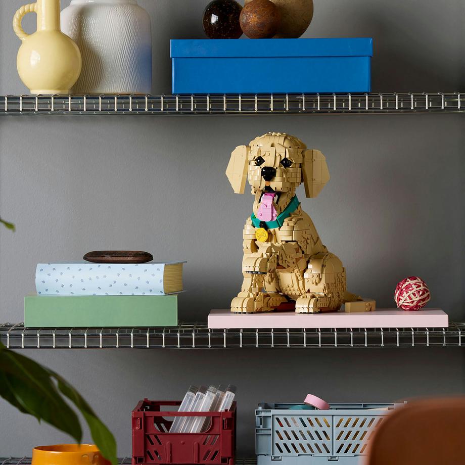 LEGO®  11384 Golden Retriever Welpe 