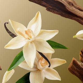 RITUALS  Intuitia Velvety Foaming Shower Gel 