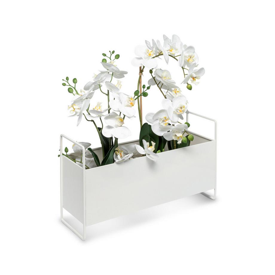 Pot de fleurs