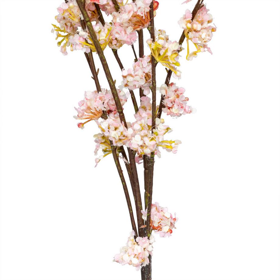 Manor Fleurs artificielles Bubiköpfchen 