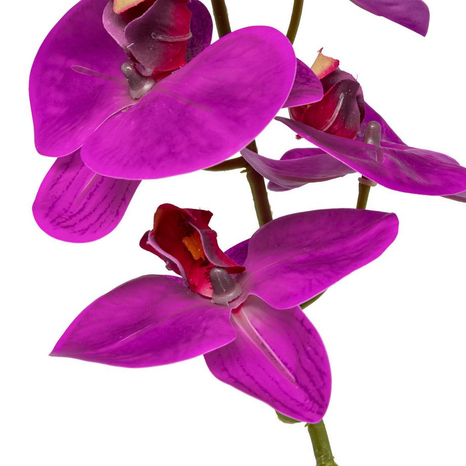 Manor Kunstblumen Orchideenzweig 