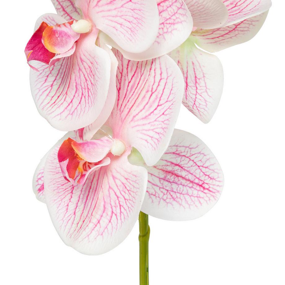 Manor Fleurs artificielles Orchideenzweig 