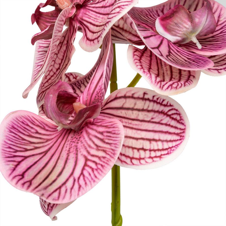 Manor Fleurs artificielles Orchideenzweig 