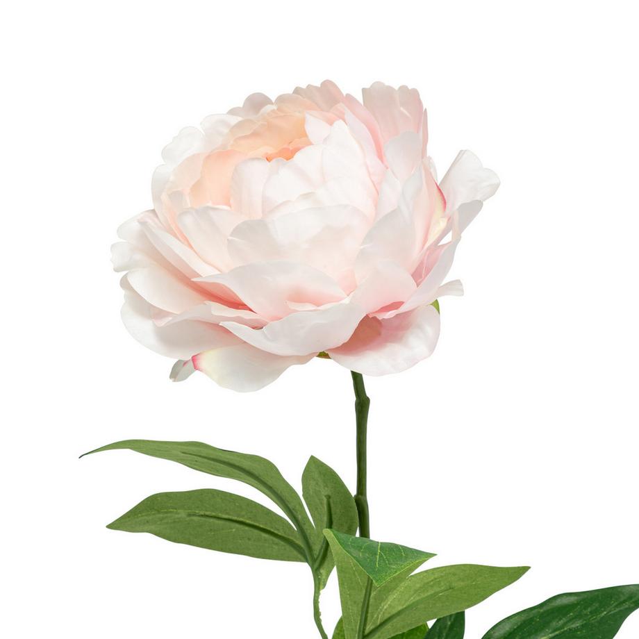 Manor Fleurs artificielles Pfingstrose 