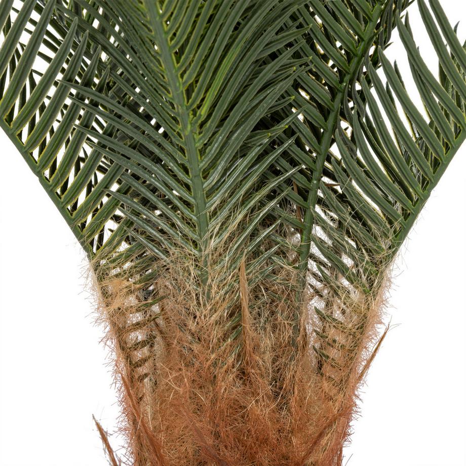 Manor Pianta artificiale Cycas Palme 
