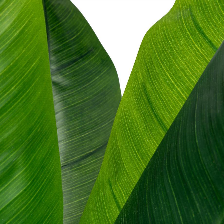 Manor Pianta artificiale in cachepot Bananenblatt 