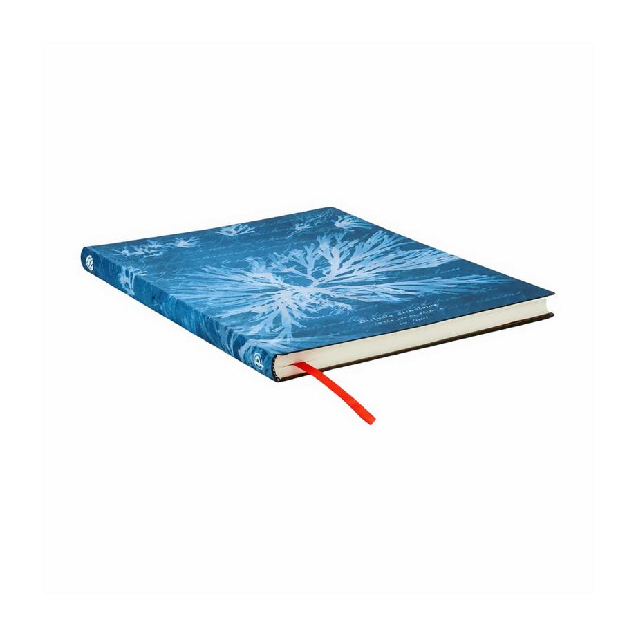 Paperblanks Taccuino Sea Flowers 