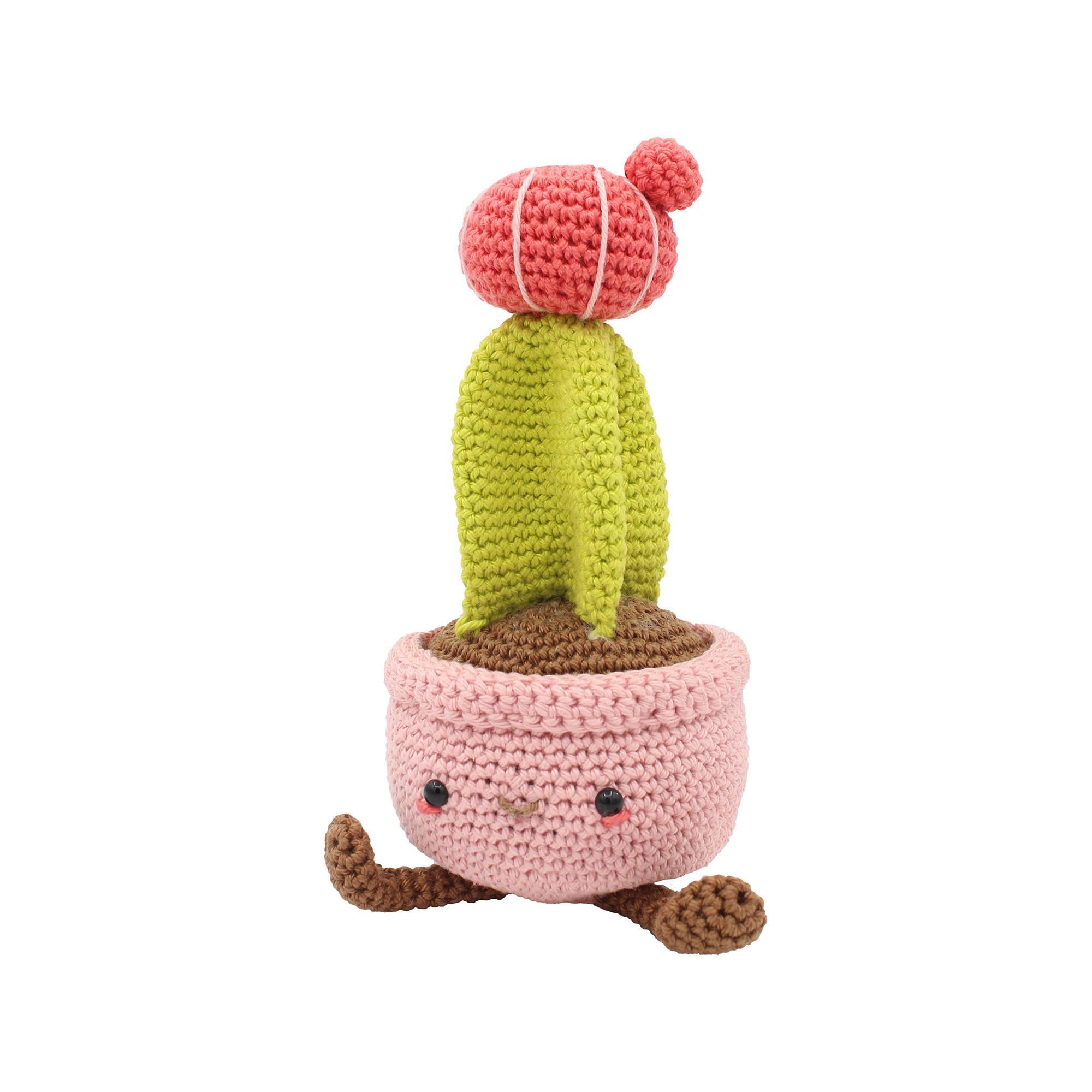 Hardicraft Häkelset Mondkaktus 