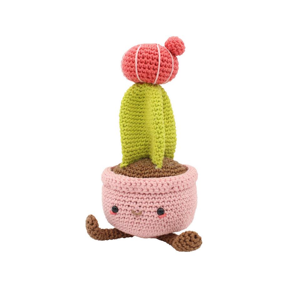 Hardicraft Set uncinetto Cactus lunare 