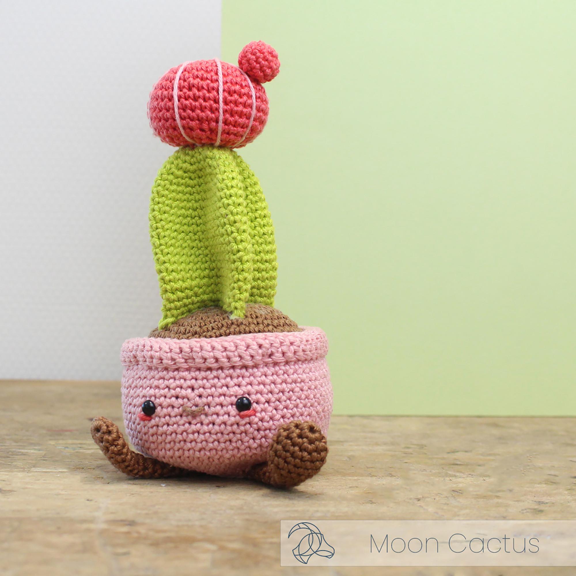 Hardicraft Häkelset Mondkaktus 