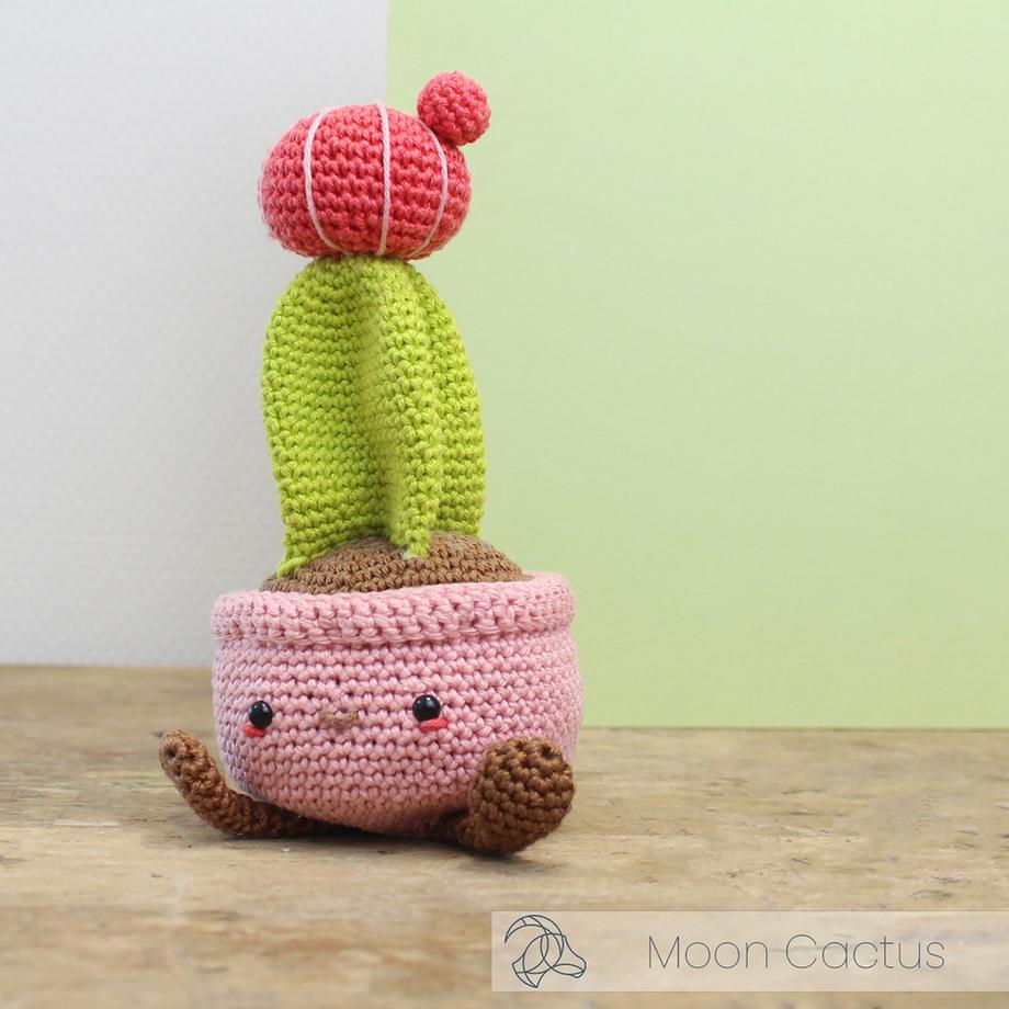 Hardicraft Set uncinetto Cactus lunare 