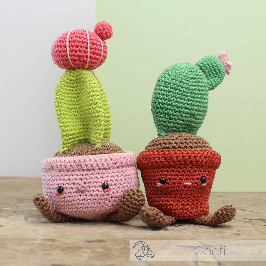 Hardicraft Set uncinetto Cactus lunare 
