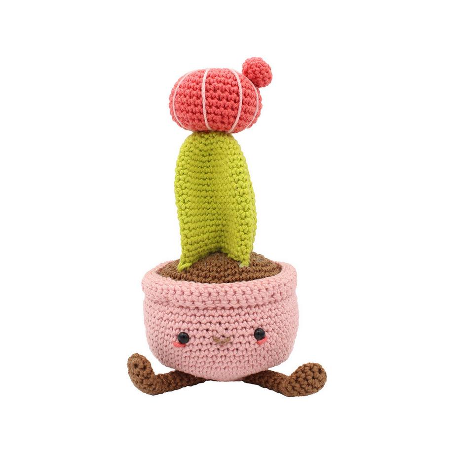 Hardicraft Set uncinetto Cactus lunare 