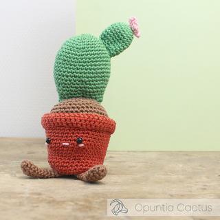 Hardicraft Häkelset Scheibenkaktus 