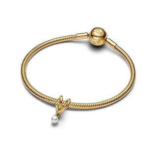 PANDORA Pandora Moments Charm 