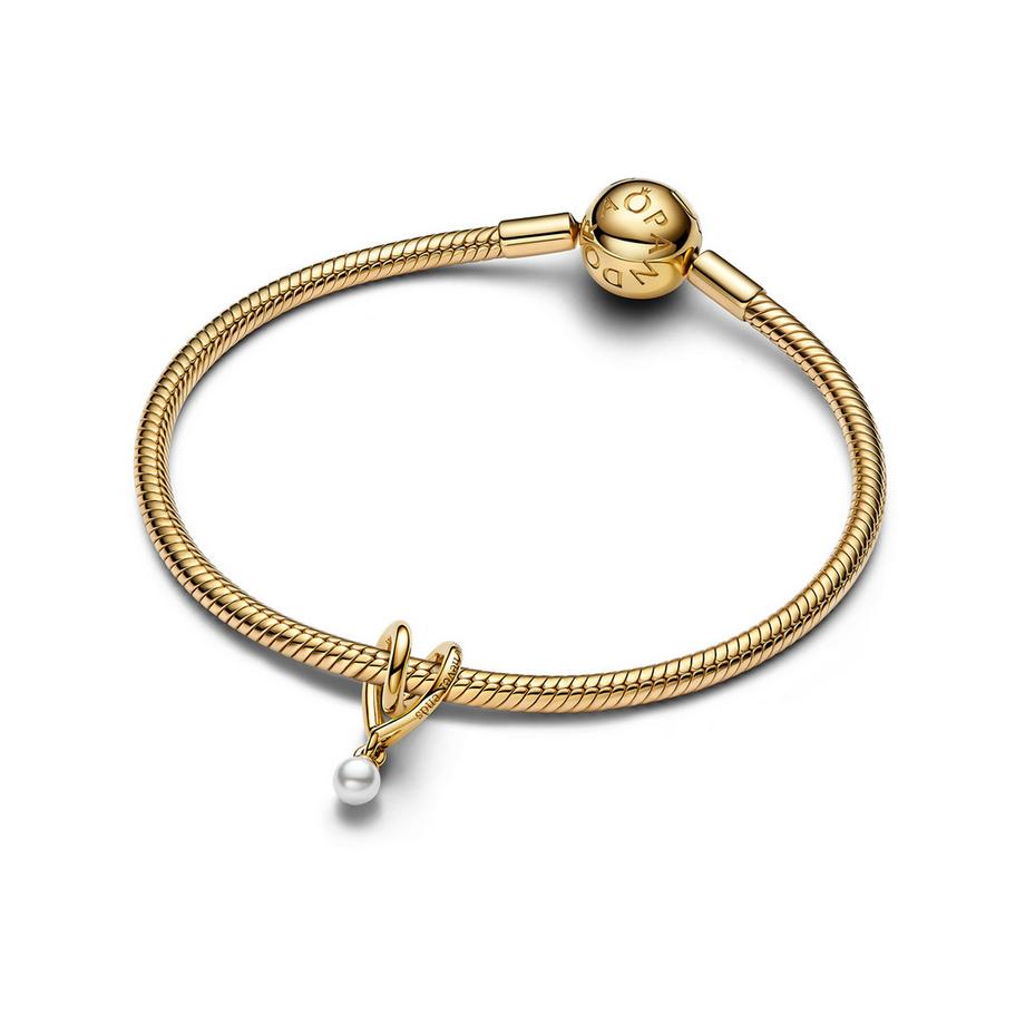 PANDORA Pandora Moments Charm 