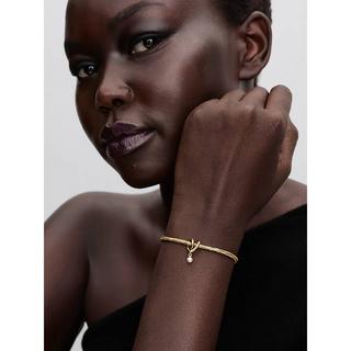 PANDORA Pandora Moments Charm 