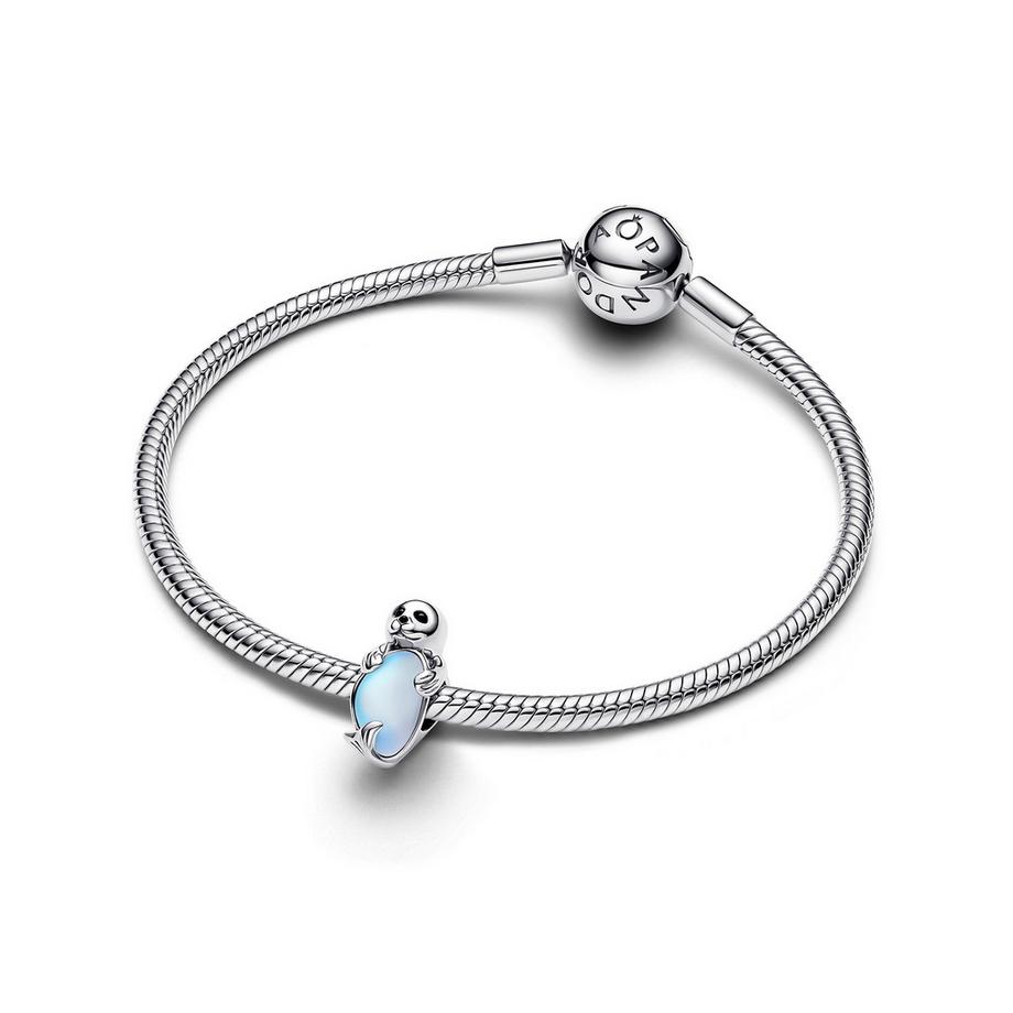 PANDORA Pandora Moments Charm 