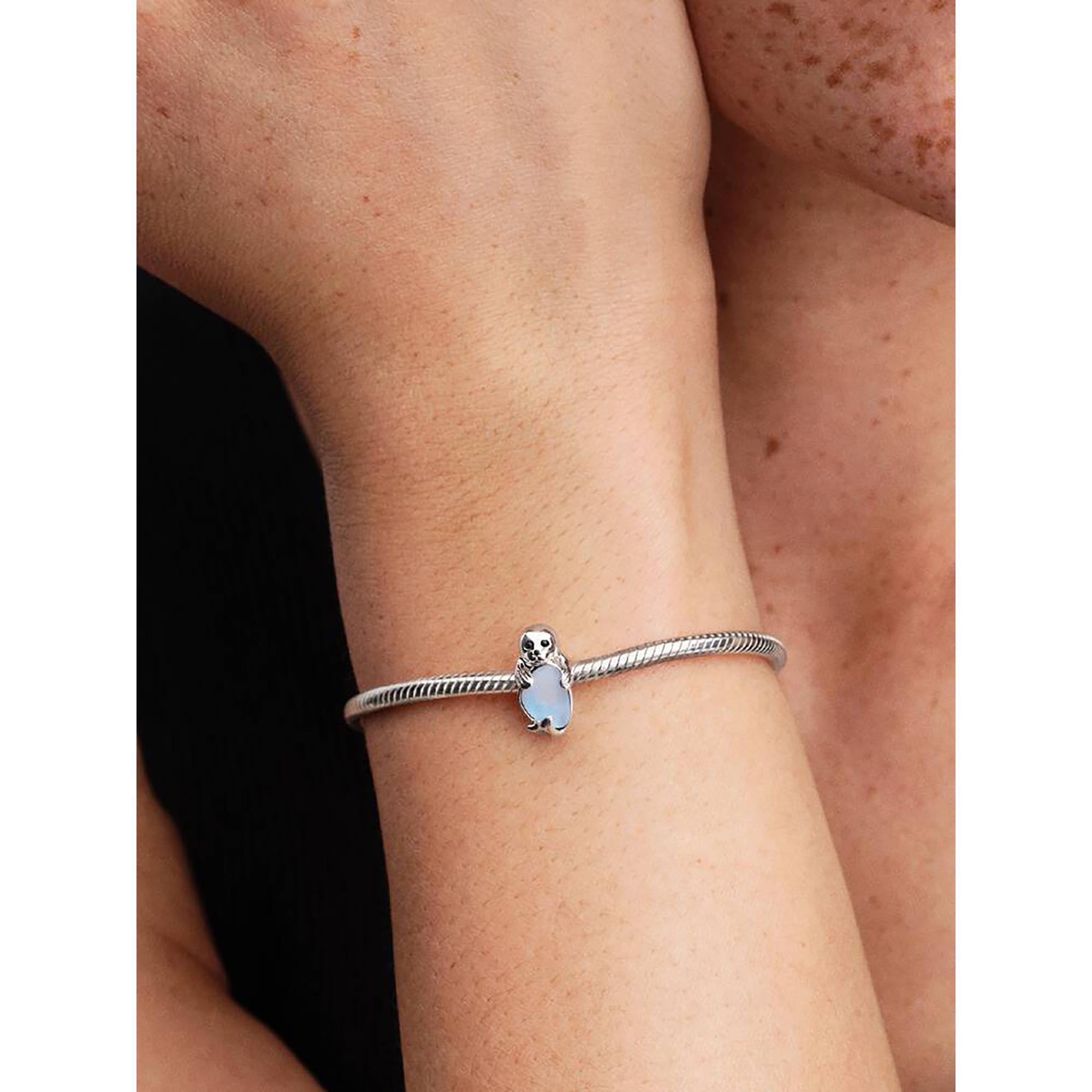 PANDORA Pandora Moments Charm 