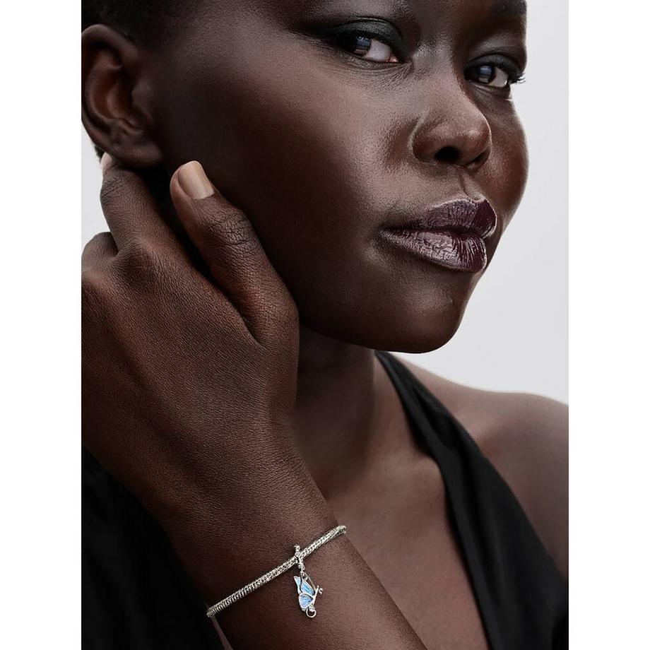 PANDORA Pandora Moments Charm 