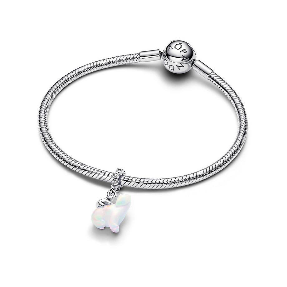 PANDORA Pandora Moments Charm 
