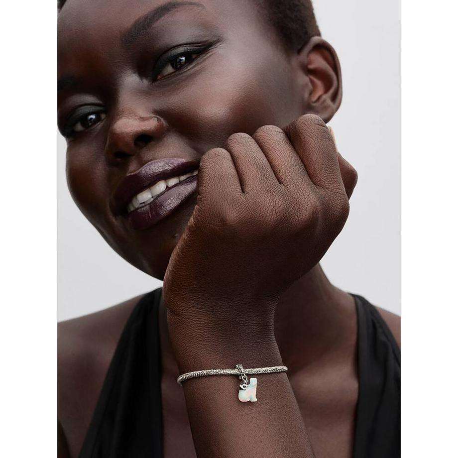 PANDORA Pandora Moments Charm 